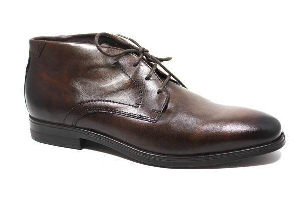 Kurzstiefelette von Ecco !7134001 E62161 E1